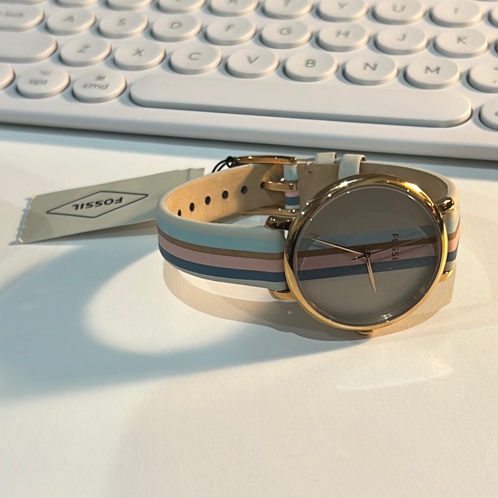 NWT Fossil Watch